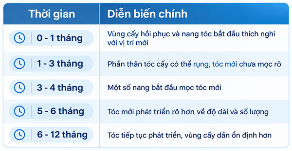 Quá trình mọc tóc sau khi cấy