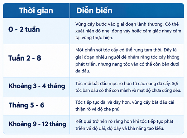 Quá trình mọc tóc sau cấy