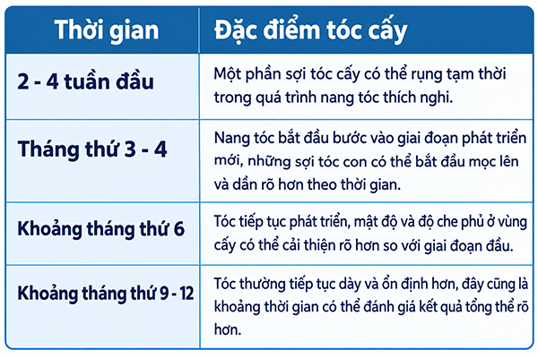 quá trình mọc tóc sau khi cấy