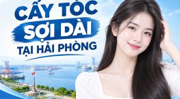 Cấy tóc sợi dài tại Hải Phòng: 8 Thông tin cần biết trước khi thực hiện