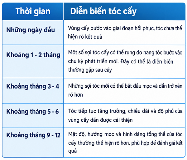 quá trình mọc tóc sau khi cấy