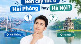 Nên cấy tóc ở Hải Phòng hay Hà Nội? Đánh giá khách quan