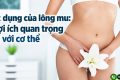 Tác dụng của lông mu: 6 lợi ích quan trọng đối với cơ thể